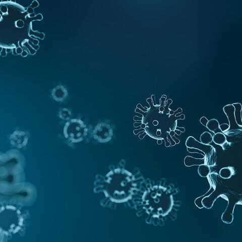 virus parts
